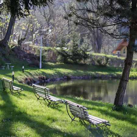 Wrzos & Belvedere Kudowa-Zdrój Exteriér fotografie
